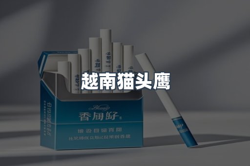 越南猫头鹰